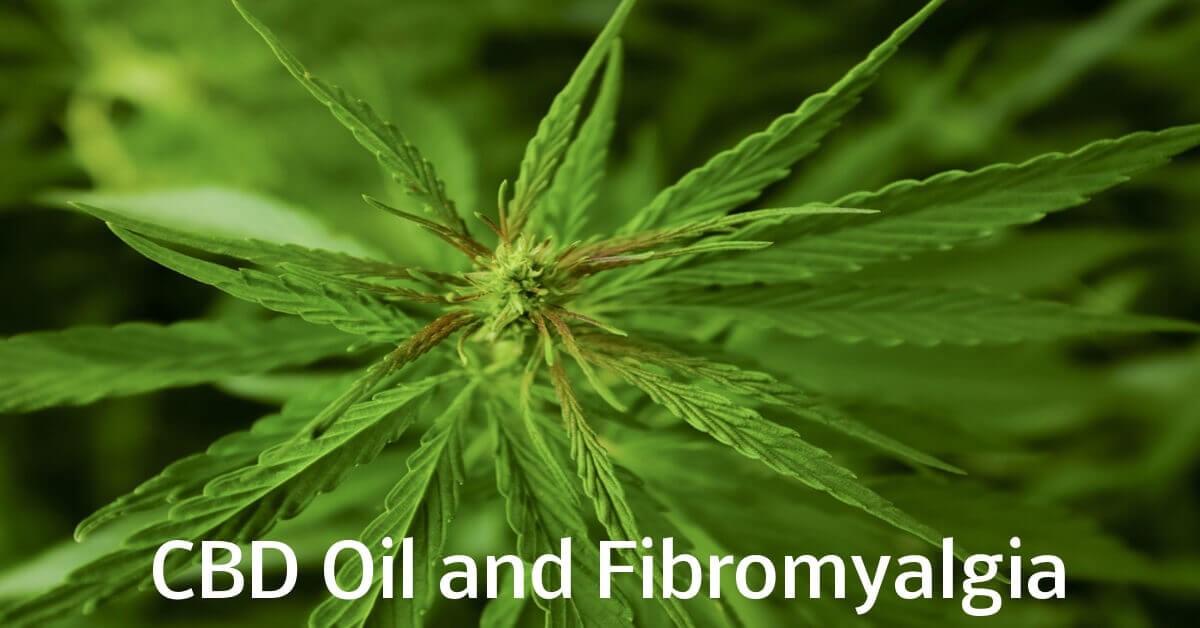 CBD Oil Endoca Rawlins 
      WY 82301
